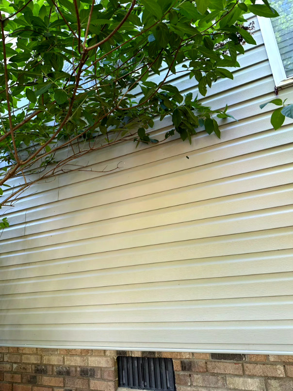 Commercial pressure washing project